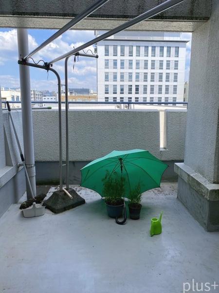 パークテラス西京極