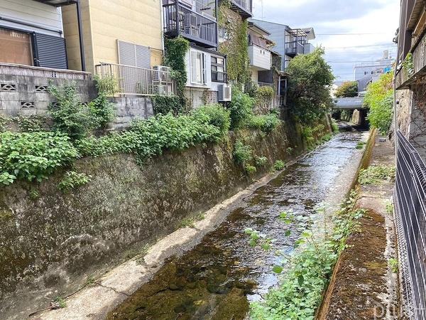 京都市北区北野上白梅町の中古一戸建て