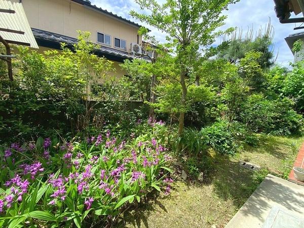 京都市右京区龍安寺玉津芝町の中古一戸建て