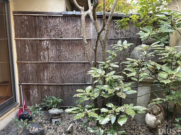 京都市上京区主税町の中古一戸建て