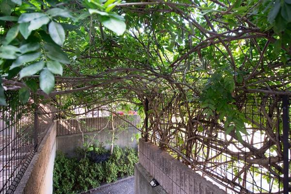 京都市右京区嵯峨鳥居本化野町の中古一戸建て