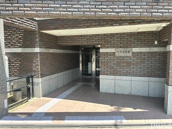 コスモ紫野