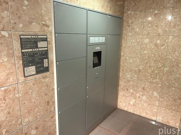 コスモ紫野