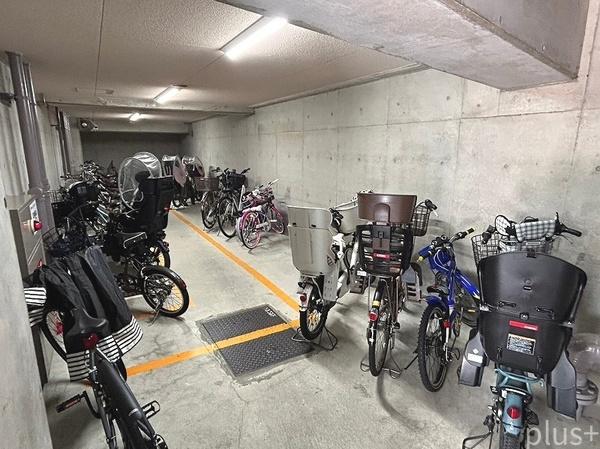 コスモ紫野