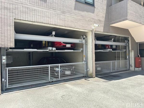 コスモ紫野