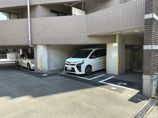 コスモ紫野