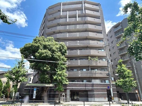 コスモ紫野