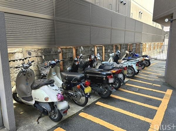 コスモ紫野