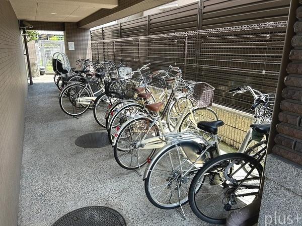 コスモ紫野