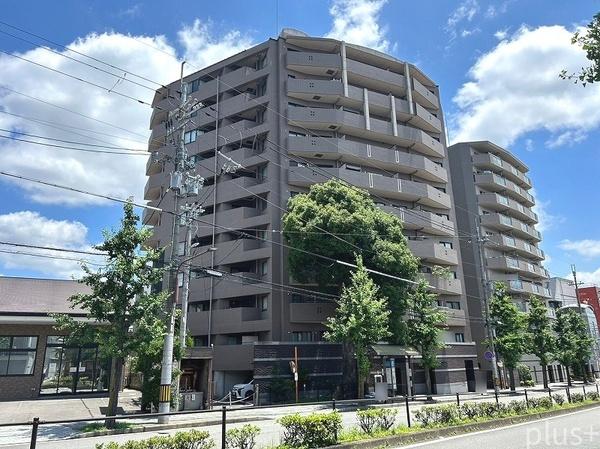 コスモ紫野
