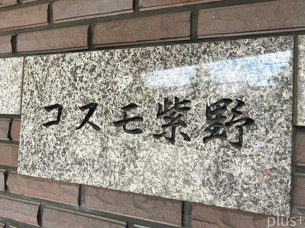 コスモ紫野