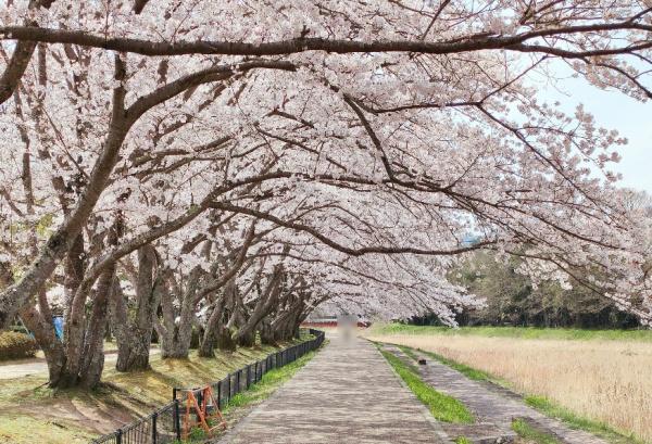 亀岡市吉川町吉田上河原の中古一戸建て(亀岡運動公園)