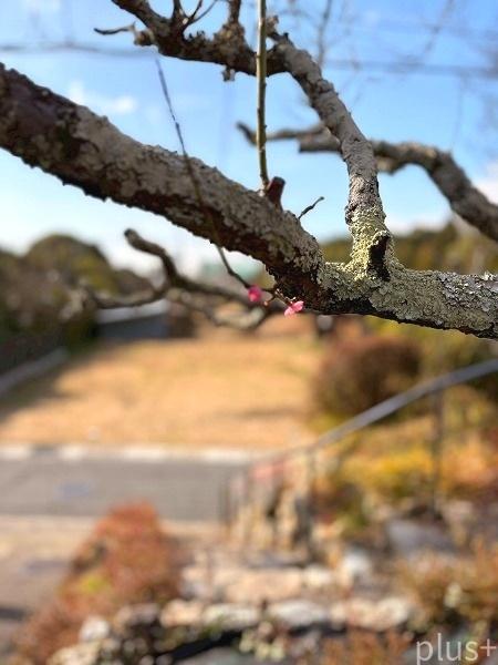 京都市右京区山越巽町の中古一戸建て