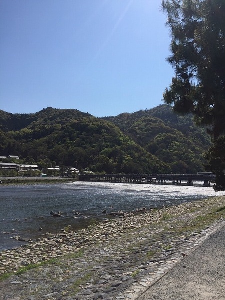 京都市右京区嵯峨釈迦堂門前裏柳町の中古一戸建て(渡月橋)