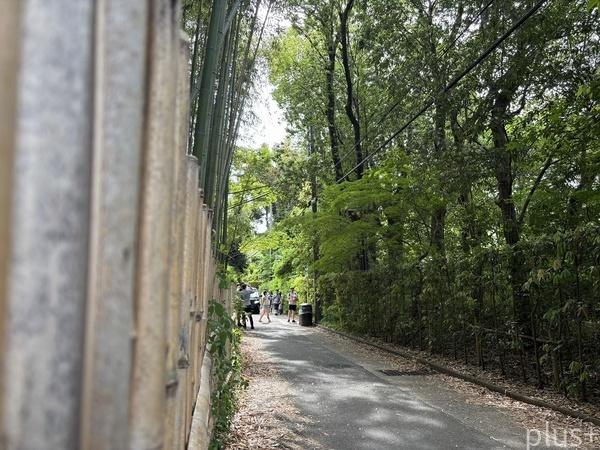 京都市右京区嵯峨釈迦堂門前裏柳町の中古一戸建て