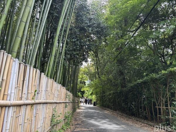 京都市右京区嵯峨釈迦堂門前裏柳町の中古一戸建て