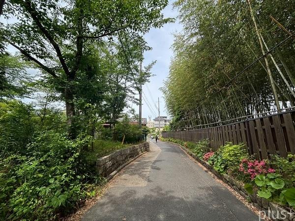 京都市右京区嵯峨釈迦堂門前裏柳町の中古一戸建て