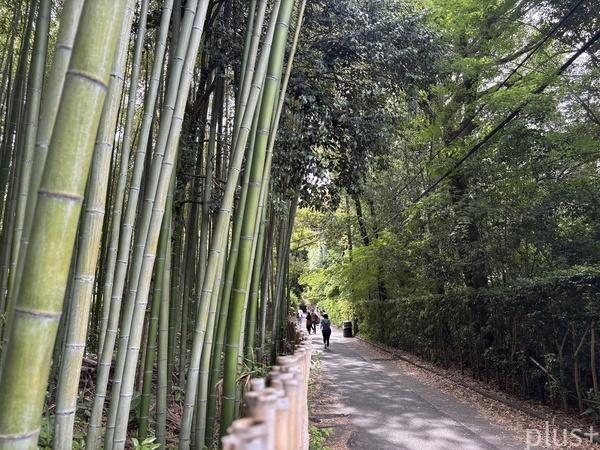 京都市右京区嵯峨釈迦堂門前裏柳町の中古一戸建て
