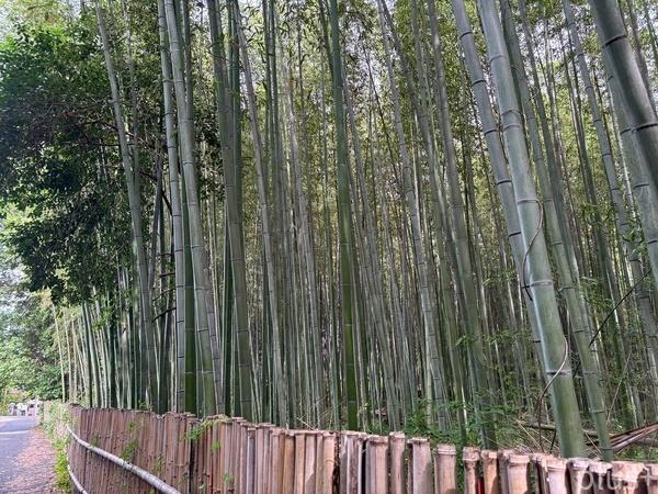 京都市右京区嵯峨釈迦堂門前裏柳町の中古一戸建て