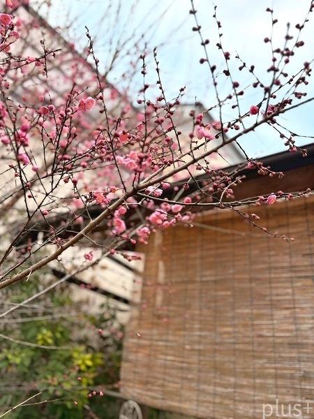京都市右京区太秦一町芝町の土地