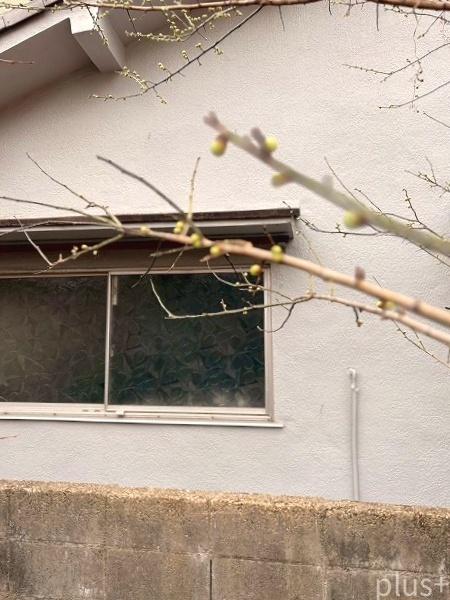 京都市右京区太秦一町芝町の土地