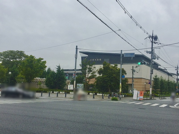 島原のひらや(京都水族館)