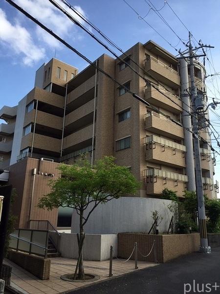 ネバーランド西京極