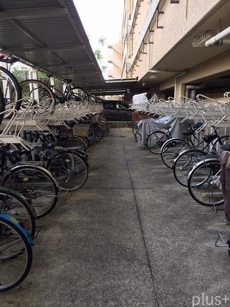 ネバーランド西京極