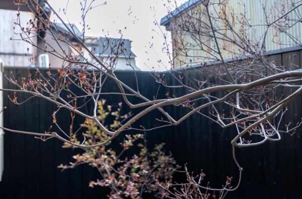 京都市上京区北町の中古一戸建て
