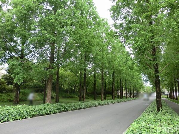 ライオンズマンション西院(ローム沿道)