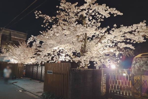 パークホームズ京都二条城　築後未入居(光明幼稚園)