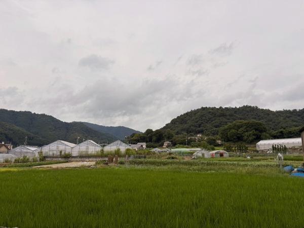 京都市北区上賀茂前田町の中古一戸建て