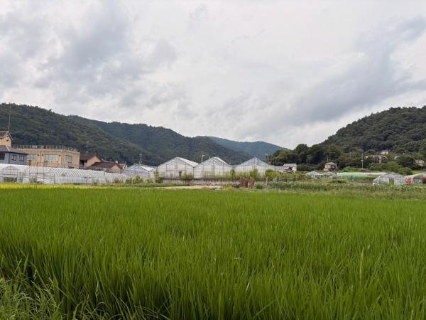 京都市北区上賀茂前田町の中古一戸建て