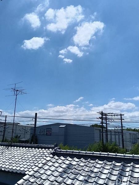 京都市右京区太秦蜂岡町の中古一戸建て
