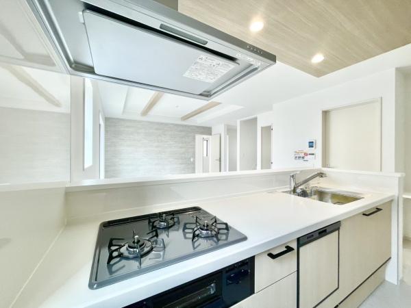 南区花畑3丁目4期 1号棟 全1棟(キッチン)