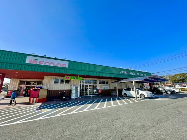 大野城市紫台第3 3号棟 全4棟(FCO・OP大野城店)