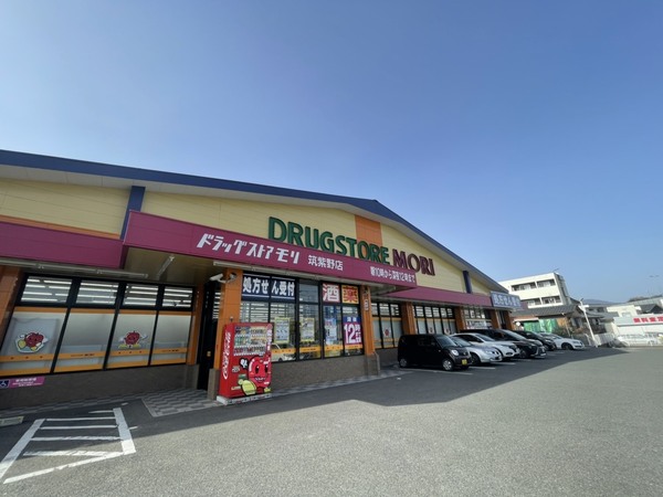 筑紫野市筑紫駅前通2丁目1期 1号棟 全1棟(ドラッグストアモリ筑紫野店)