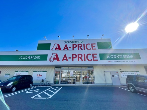鳥栖市山浦町 全1棟(A-プライス鳥栖店)