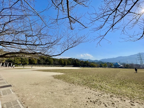 南区柏原6丁目1期　3号棟　全3棟(桧原運動公園)