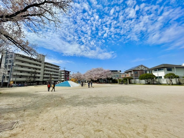 春日市大谷5丁目3期 全1棟(新和公園)