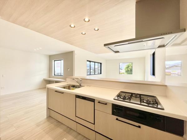 南区鶴田3丁目4期 全1棟(キッチン)