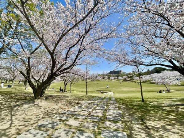 大野城市東大利３丁目の土地(春日公園)