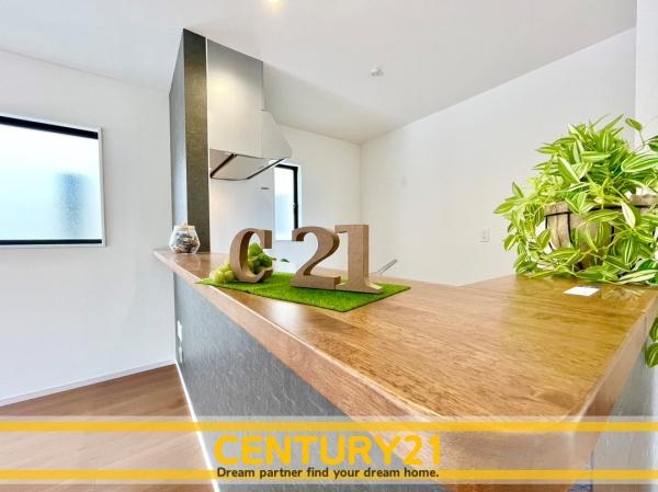 大野城市南ケ丘6丁目4期　全1棟