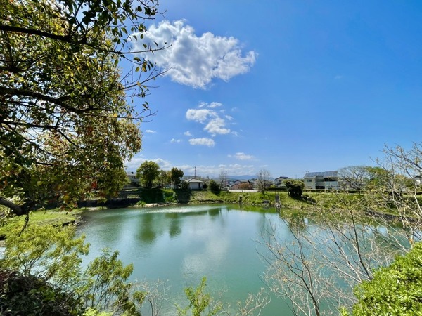 大野城市緑ケ丘3丁目　全1棟(大浦池公園)