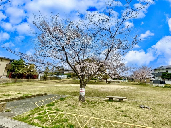 南区皿山3丁目第3　3号棟　全4棟(長住南公園)