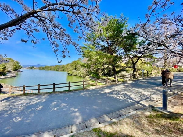 春日市天神山2丁目1期　全1棟(白水大池公園)