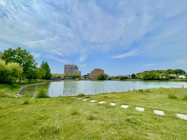 福岡市南区横手２丁目の土地(親水溜池(諸岡池))
