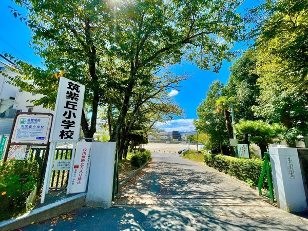 福岡市南区南大橋２丁目の土地(福岡市立筑紫丘小学校)