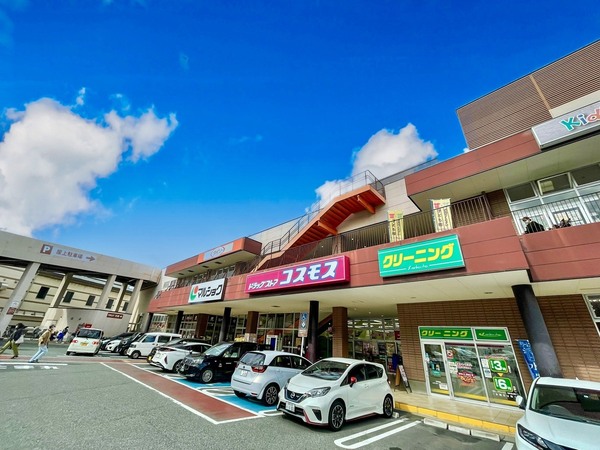 南区柳河内1丁目2期　全1棟(マルショク野間大池店)