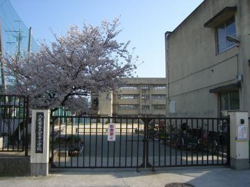新着　シャルム久宝寺緑地(八尾市立久宝寺小学校)